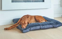 Dream Futon Dog Crate & Travel Bed