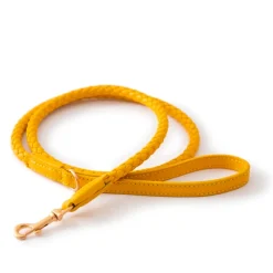Ferdinando Designer Leather Dog Leash