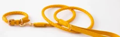 Ferdinando Designer Leather Dog Leash