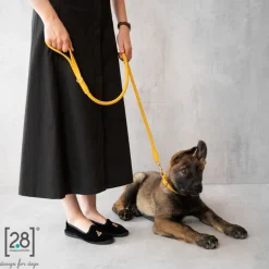 Ferdinando Designer Leather Dog Leash