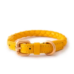 Ferdinando Italian Leather Collar - Yellow