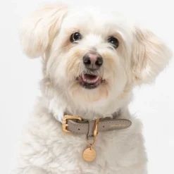 Ferdinando Italian Leather Dog Collar & Leash Set