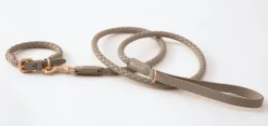 Ferdinando Italian Leather Dog Collar & Leash Set
