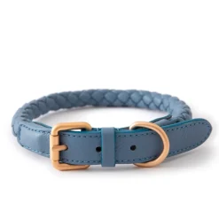 Ferdinando Italian Leather Dog Collar & Leash Set