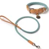 Ferdinando Microfiber Vegan Dog Collar Leash Set