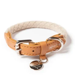 Ferdinando Microfiber Vegan Dog Collar Leash Set