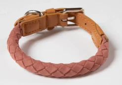 Ferdinando Microfiber Vegan Dog Collar Leash Set