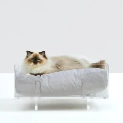 Hiddin Acrylic Cat & Dog Bed