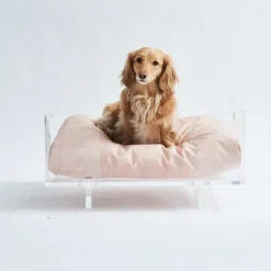 Hiddin Acrylic Cat & Dog Bed