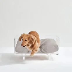 Hiddin Acrylic Cat & Dog Bed