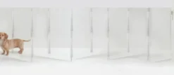 Hiddin acrylic dog gate as pet door & wall mounted