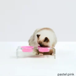 Hiddin Acrylic Elevated Pet Feeder