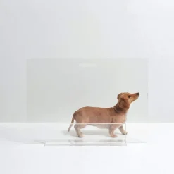 Hiddin Freestanding Acrylic Dog Gate Panel