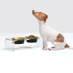 Hiddin Stainless Steel Glam Bowls with Acrylic Stand