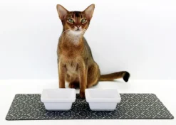 High Quality Ceramic Pet Bowl