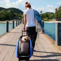 Ibiyaya Eva Convertible Pet Stroller For Cats & Dogs