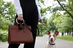 Italian Leather Lumi Dog Leash - Black