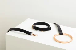 Lumi Italian Buttero Leather Dog Collar- Black
