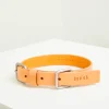 Lumi Italian Leather Dog Collar - Tan