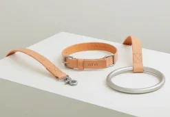 Lumi Italian Leather Dog Collar - Tan