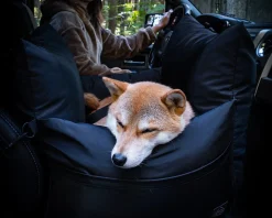 Marco Car Seat For Dogs & Travel Bed