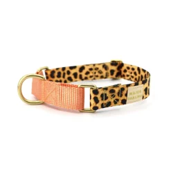 martingale collar / leopard + peach