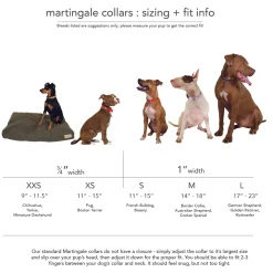 martingale collar / leopard + peach