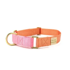 martingale training collar for pullers | peach + pink