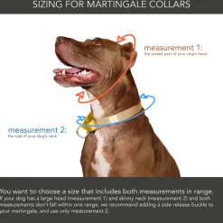 martingale training collar for pullers | peach + pink