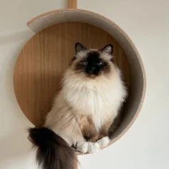 Miacara Alto Designer Cat Tower in Oak Wood