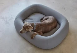 Miacara Barca Hypoallergenic Dog Bed