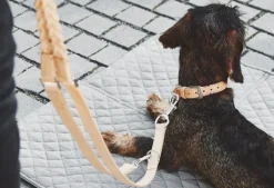 Miacara Bergamo braided Leather Long Dog Leash 6 Feet