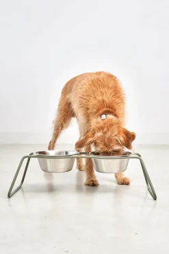 Miacara Cena Dog Feeder With High Quality Stainless Steel Bowls