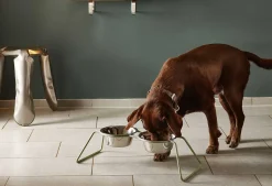 Miacara Cena Dog Feeder With High Quality Stainless Steel Bowls