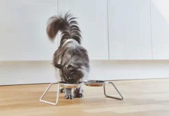 MiaCara Cena Elevated Cat Feeder with Stainless Steel Bowls