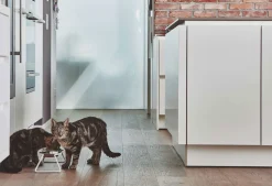 MiaCara Cena Elevated Cat Feeder with Stainless Steel Bowls