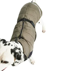 MiaCara cosima waterproof winter dog jacket