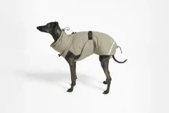 MiaCara cosima waterproof winter dog jacket