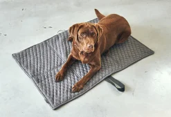Miacara Cosmo Dog Mat & Travel Bed Foldable