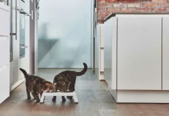 Miacara Desco Cat Feeder - Grey