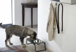 Miacara Desco Dog Feeder in Black