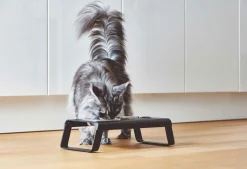 Miacara Desco Elevated Cat Feeder Black