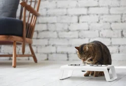 Miacara Desco Elevated Cat Feeder Black