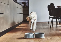Miacara Doppio Dog Food & Water Bowls with Oak Tray