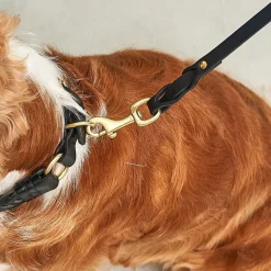 Miacara Leather Dog Collar & Leash Set
