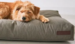 Miacara Mare Hypoallergenic Dog Cushion