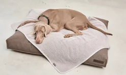 Miacara Mero Luxury Boucle Dog Blanket