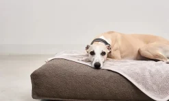 Miacara Mero Luxury Boucle Dog Blanket