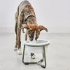 Miacara Pranzo Quality Elevated Porcelain Large Dog Bowl