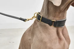 Miacara Siena Leather Dog Collar & Leash